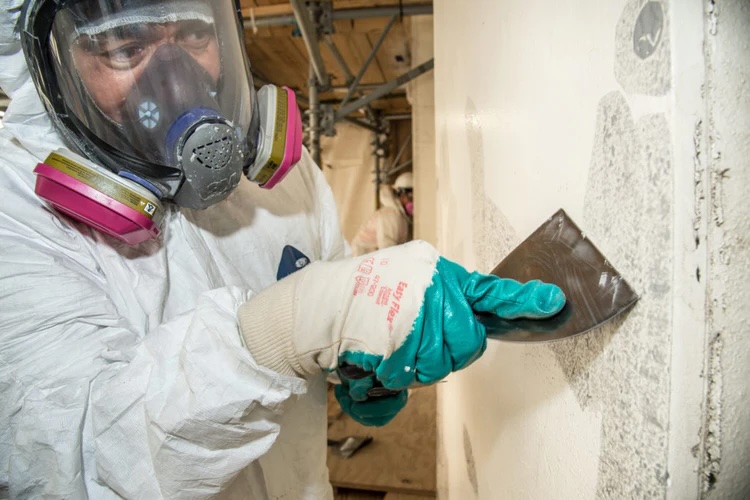 Lead-Paint-Testing-1024x682_750x